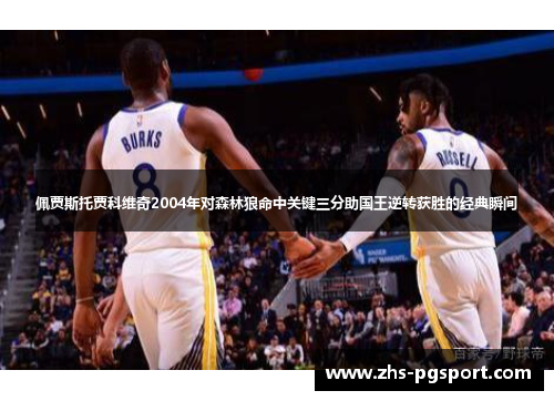 佩贾斯托贾科维奇2004年对森林狼命中关键三分助国王逆转获胜的经典瞬间