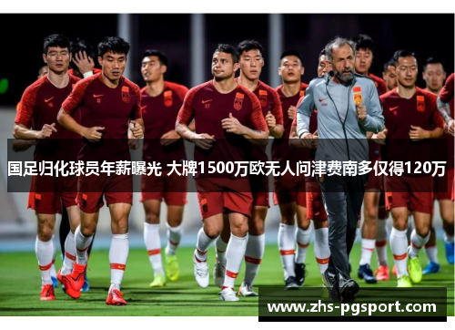 国足归化球员年薪曝光 大牌1500万欧无人问津费南多仅得120万