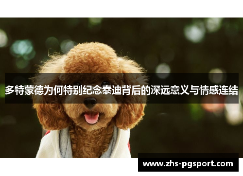 多特蒙德为何特别纪念泰迪背后的深远意义与情感连结