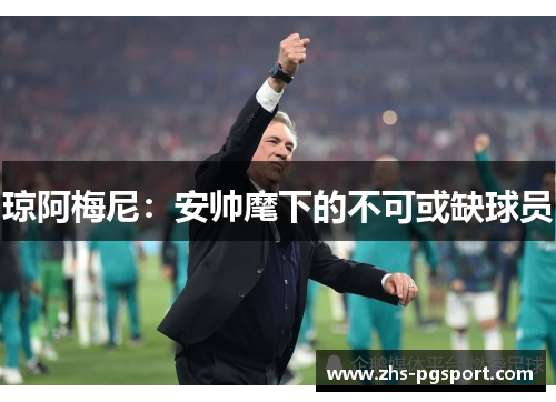 琼阿梅尼：安帅麾下的不可或缺球员