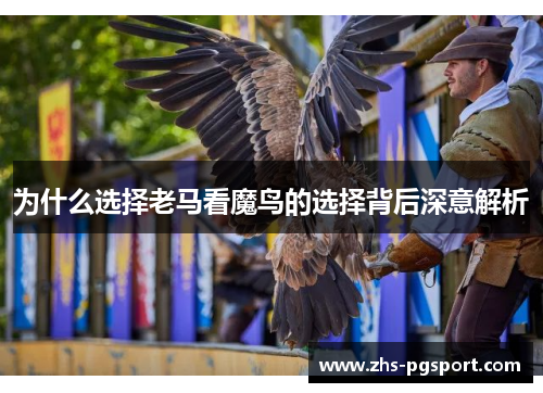 为什么选择老马看魔鸟的选择背后深意解析