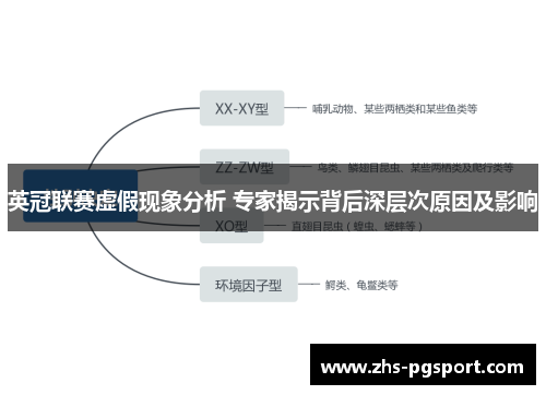 英冠联赛虚假现象分析 专家揭示背后深层次原因及影响