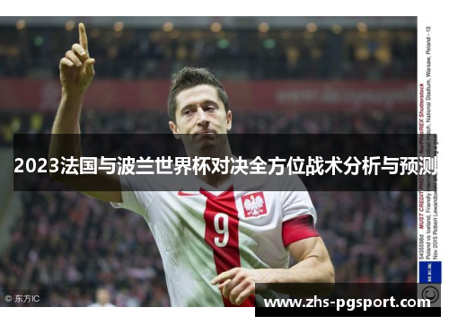 2023法国与波兰世界杯对决全方位战术分析与预测