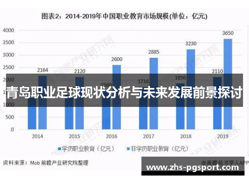 青岛职业足球现状分析与未来发展前景探讨